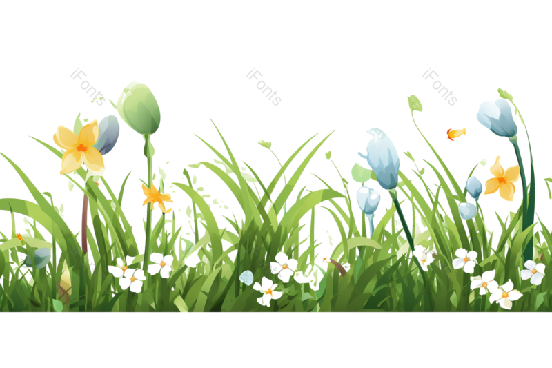 夏天图片,雏菊元素,花卉PNG,草坪免抠素材